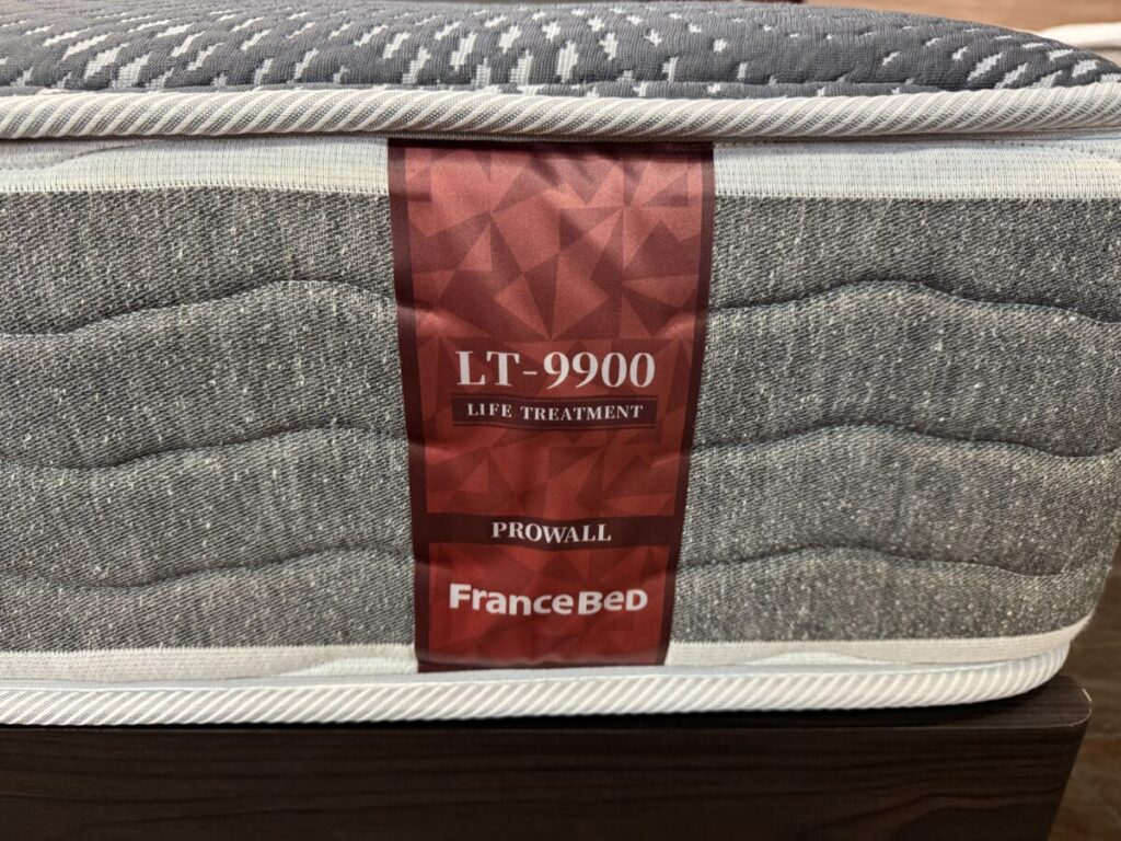 【住賓館30周年感謝セール】フランスベッド・LT9900PW